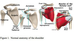 ROtator-Cuff