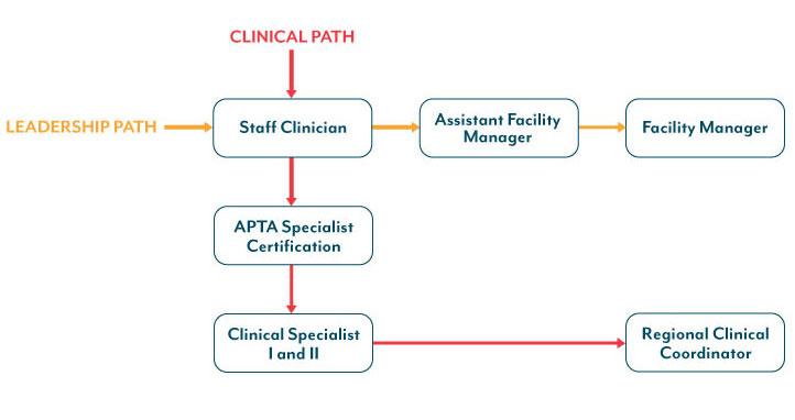 Leadership and Clinical Paths